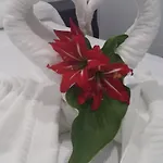 招待所 巴哈马尔精品旅馆