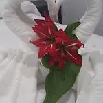 招待所 巴哈马尔精品旅馆