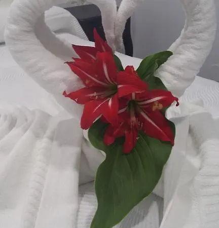 Guest house Boutique Bajamar